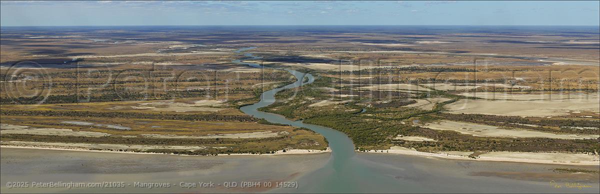 Peter Bellingham Photography Mangroves - Cape York - QLD (PBH4 00 14529)